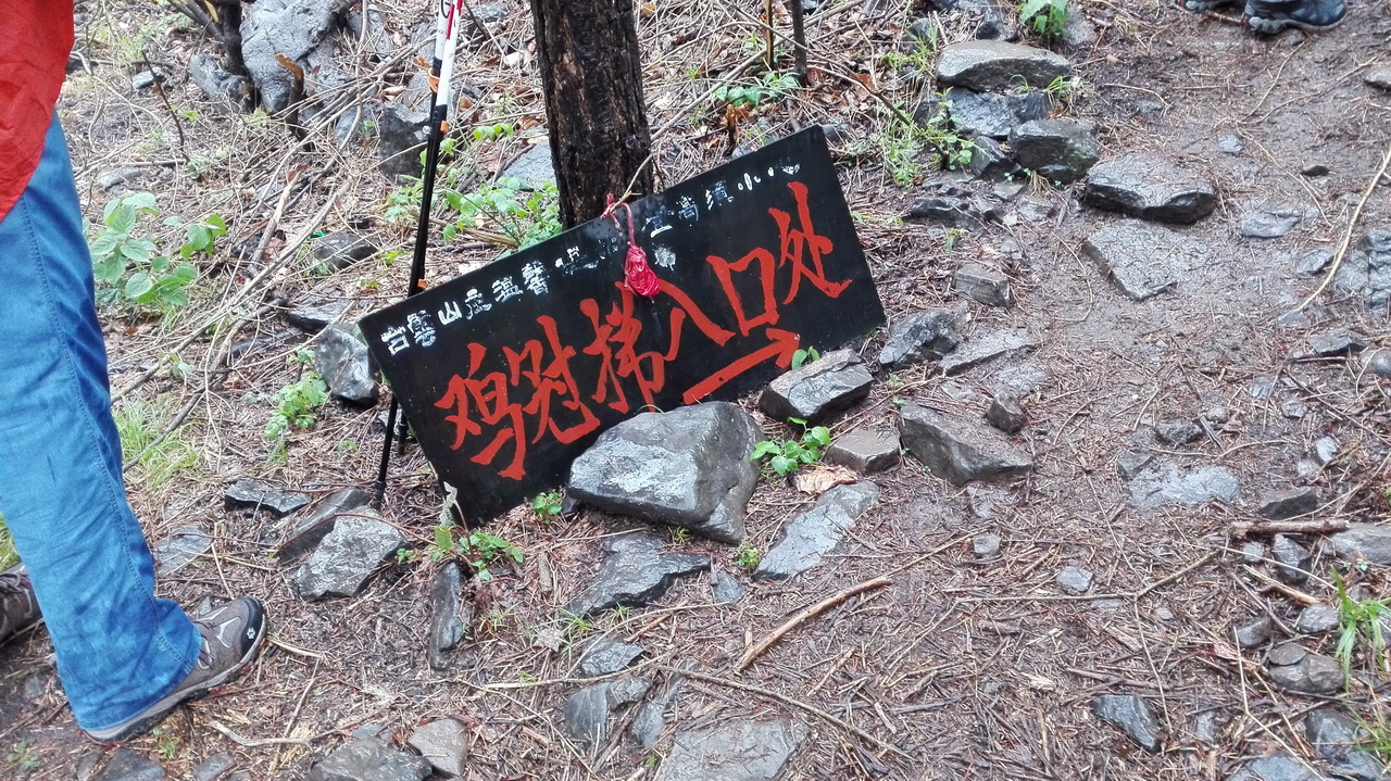 img_20150501_151241.jpg